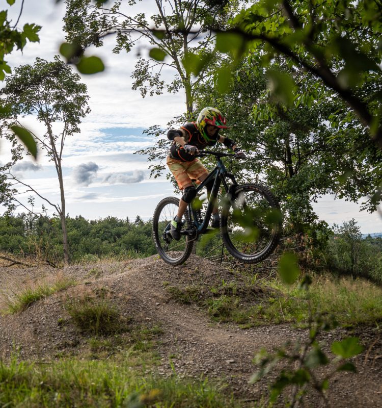 Bike Gorillaz School-118