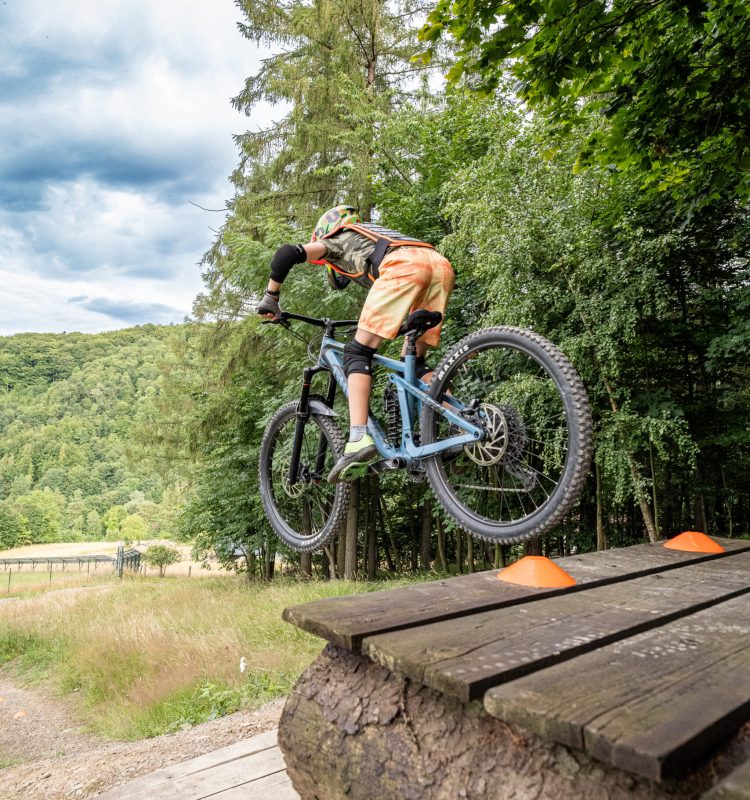 Bike Gorillaz School-133